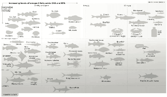 Omega-3 fatty acid and Mercury levels of fish