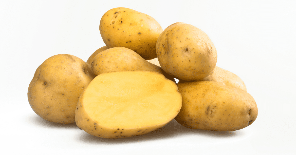 Potatoes are a nightshade vegetable
