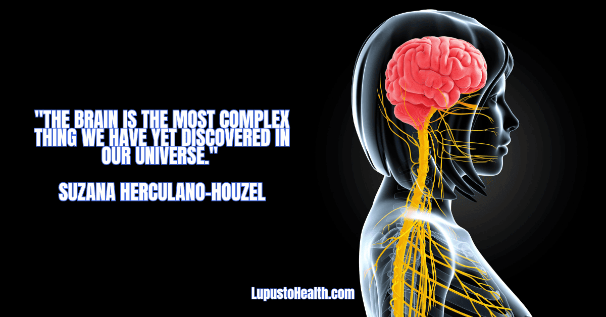 "The brain is the most complex thing we have yet discovered in our universe." – Suzana Herculano-Houzel